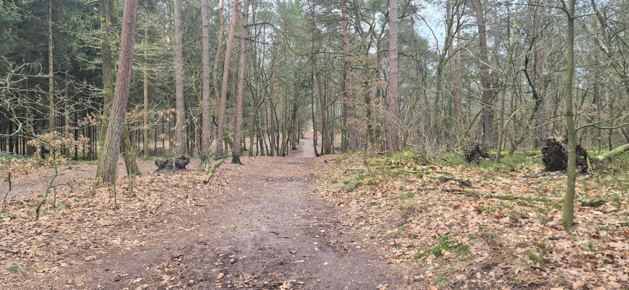 Het Veluwse Boshuisje Knus Chalet Met Omheinde Tuin Op De Veluwe Hoenderloo Esterno foto