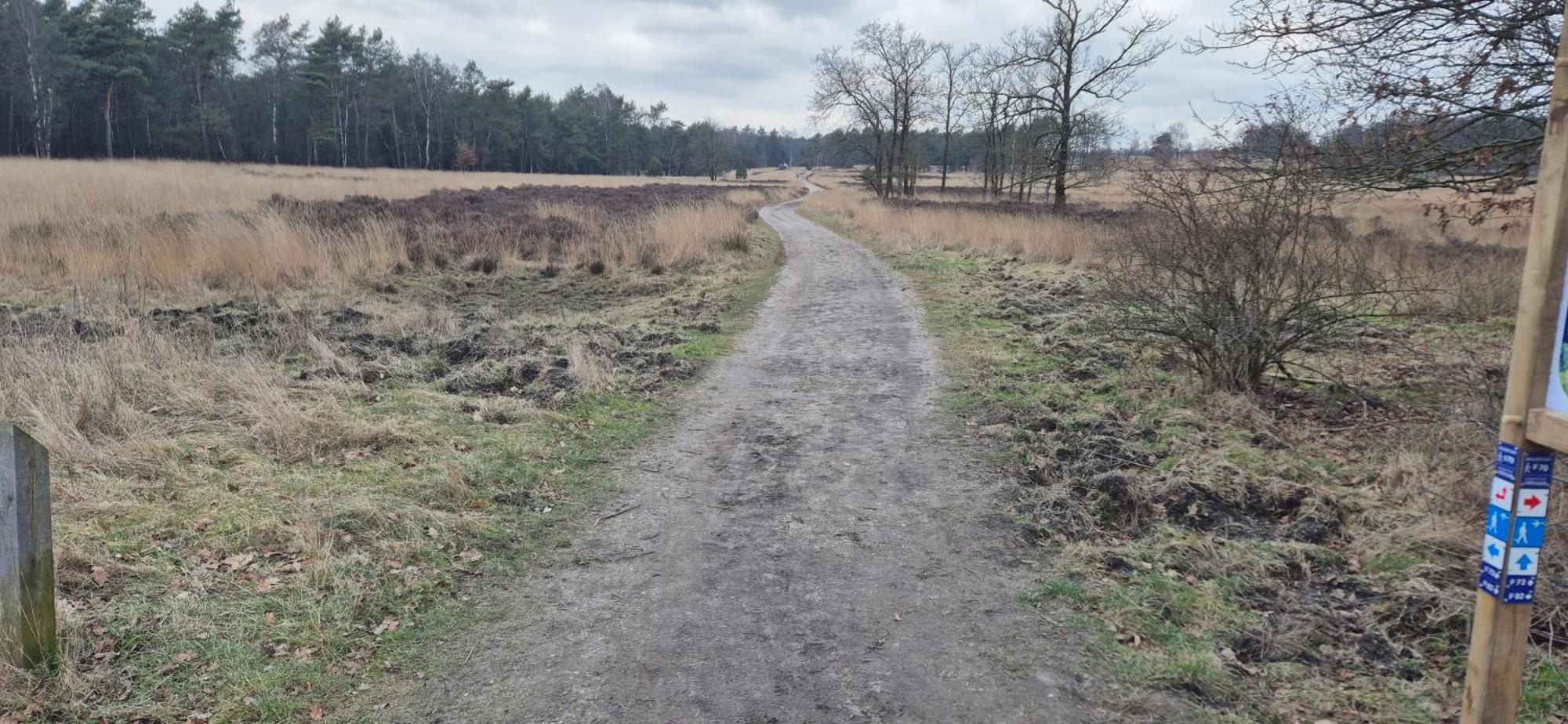 Het Veluwse Boshuisje Knus Chalet Met Omheinde Tuin Op De Veluwe Hoenderloo Esterno foto