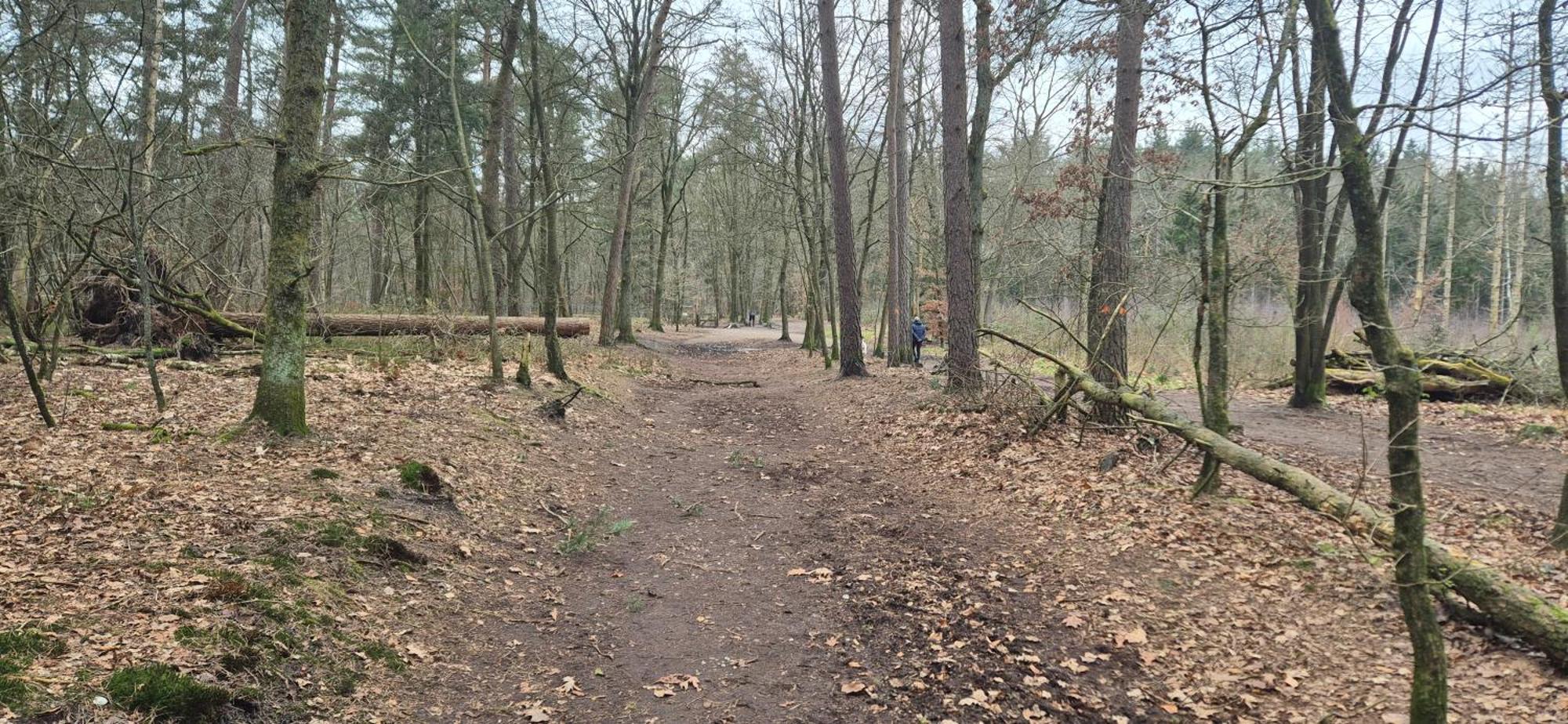 Het Veluwse Boshuisje Knus Chalet Met Omheinde Tuin Op De Veluwe Hoenderloo Esterno foto