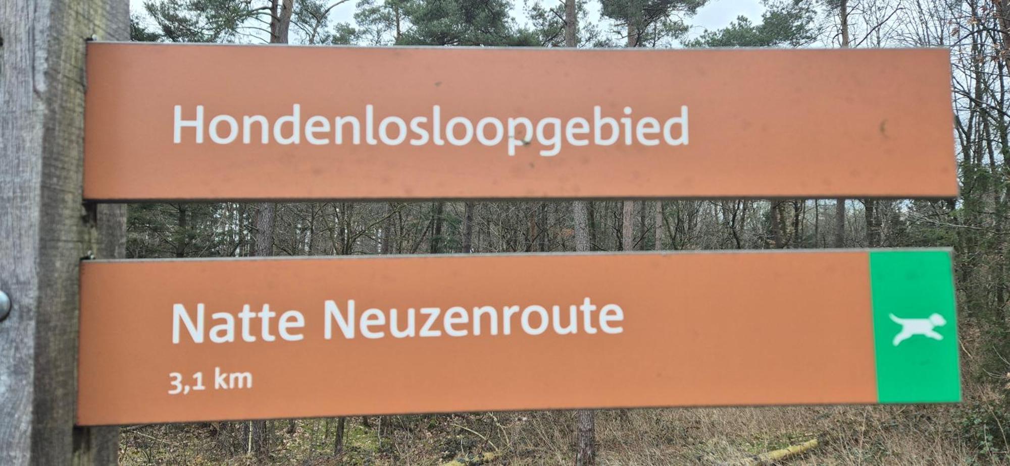 Het Veluwse Boshuisje Knus Chalet Met Omheinde Tuin Op De Veluwe Hoenderloo Esterno foto