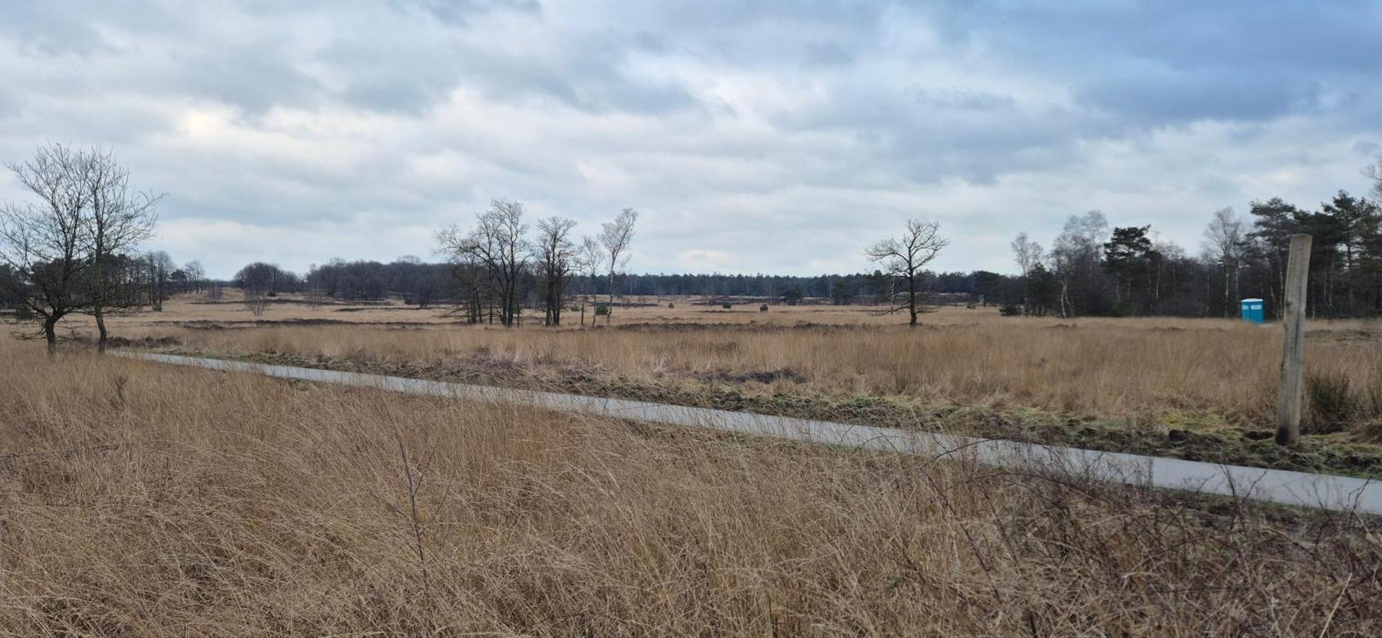 Het Veluwse Boshuisje Knus Chalet Met Omheinde Tuin Op De Veluwe Hoenderloo Esterno foto